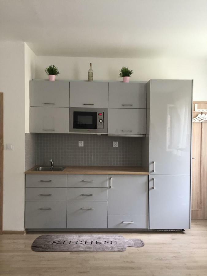 Apartment Satys *
